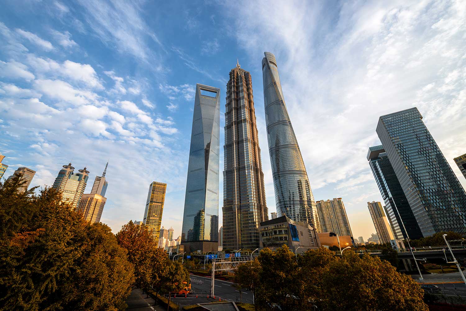 the-office-building-small.jpg the-office-building-small.jpg